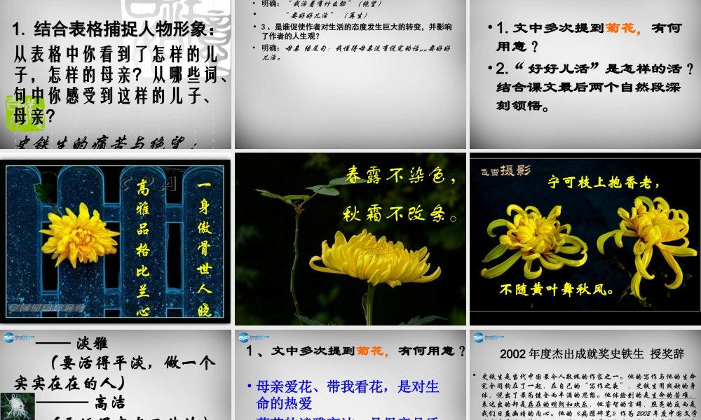 中学七年级语文上册 第2课(秋天的怀念)课件 (新版)新人教版 课件