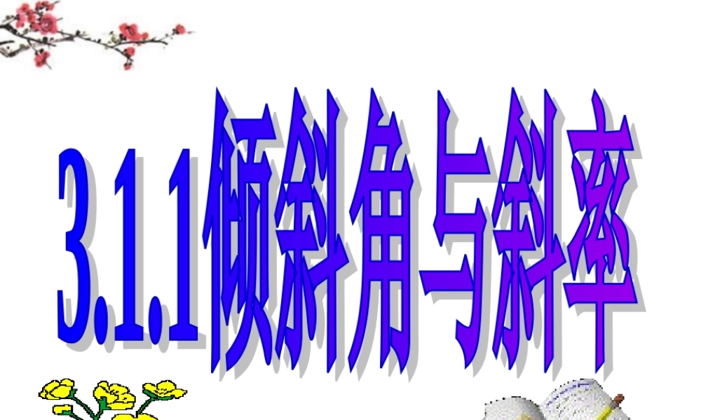 广东惠州市高一数学(倾斜角与斜率)课件