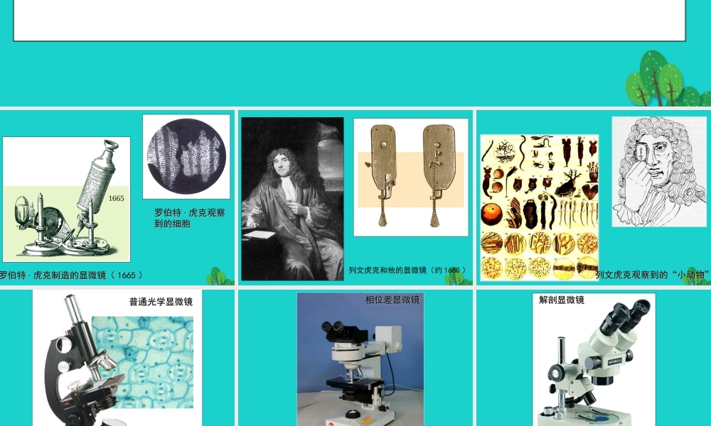 中学七年级生物上册 1.2.1 探索生命的器具 显微镜的历史课件 苏教版 课件