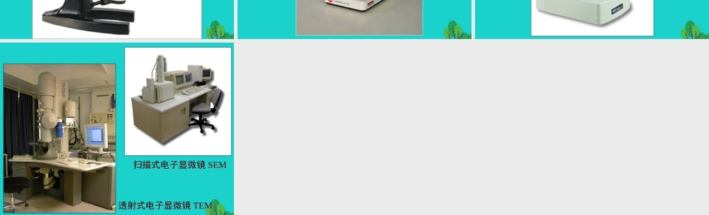 中学七年级生物上册 1.2.1 探索生命的器具 显微镜的历史课件 苏教版 课件