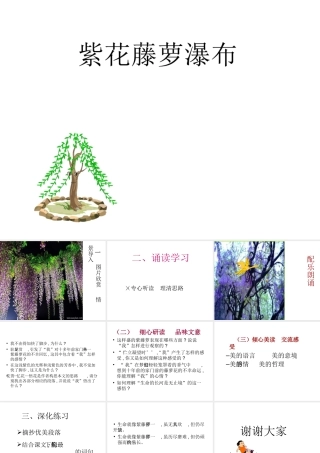 八年级上册 23紫藤萝瀑布 课件3河大版 课件