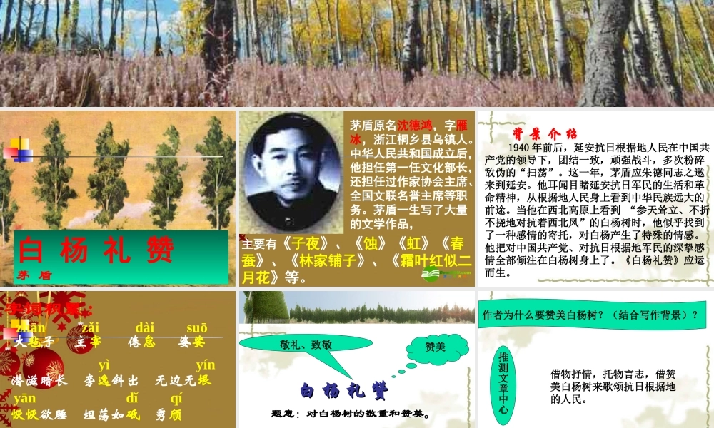 八年级语文下册 第2课(白杨礼赞)课件 苏教版 课件