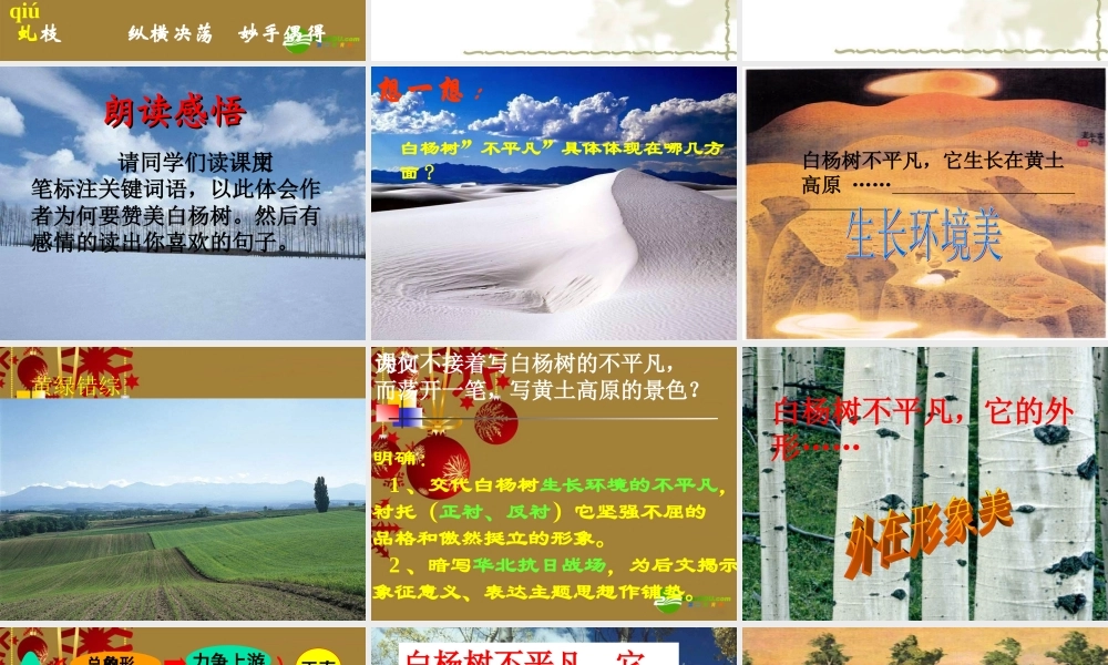 八年级语文下册 第2课(白杨礼赞)课件 苏教版 课件