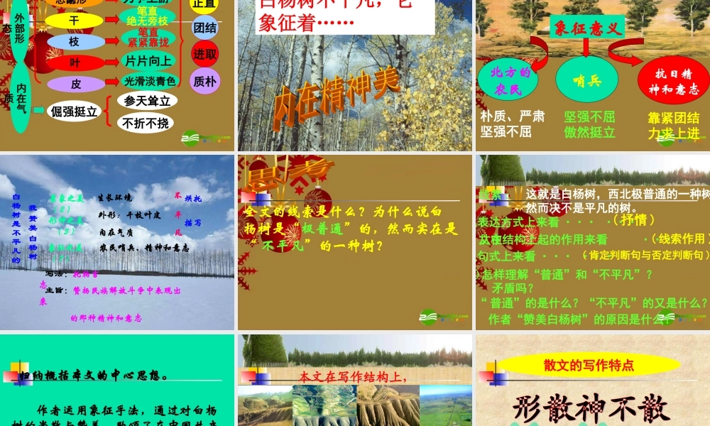 八年级语文下册 第2课(白杨礼赞)课件 苏教版 课件