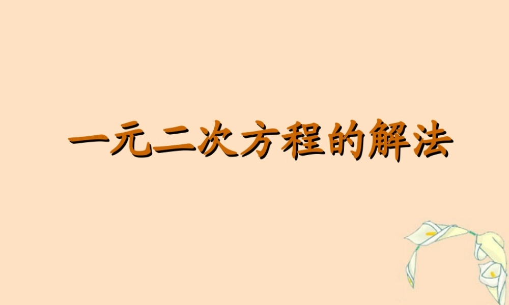 九年级数学一元二次方程的解法实际与探索一 华东师大版 课件