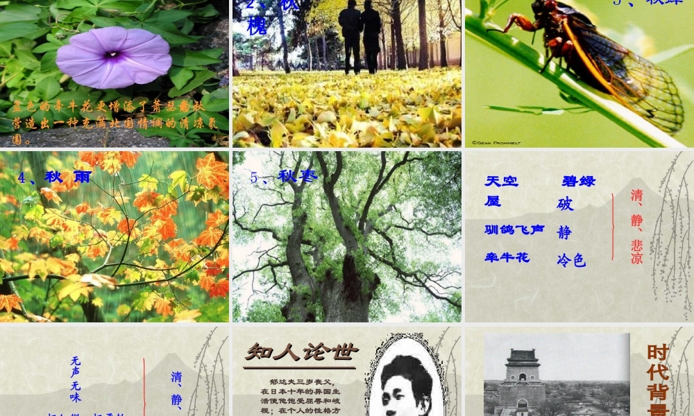 人教版高二语文故都的秋说课课件