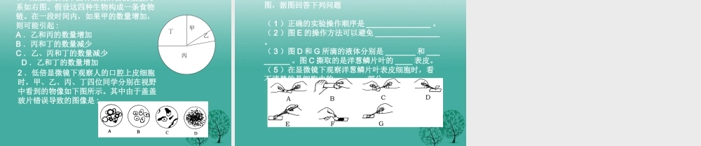 九年级生物下册 生态系统、显微镜练习题课件 鲁教版 课件