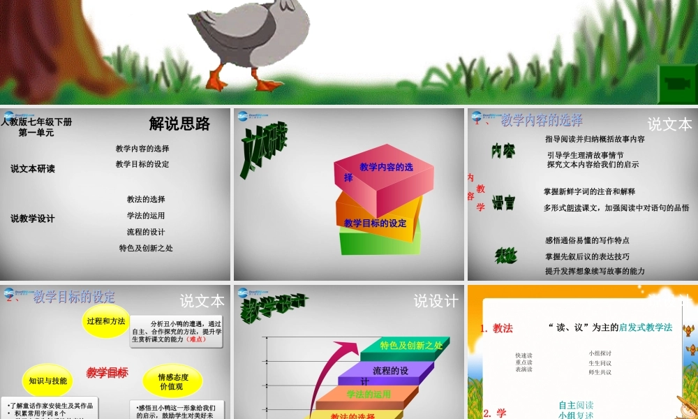 中学七年级语文下册 3(丑小鸭)课件4 新人教版 课件