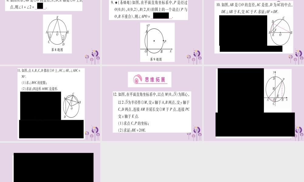 九年级数学上册 第二十四章 圆 241 圆的有关性质 2414 圆周角 第1课时 作业课件 (新版)新人教版 课件