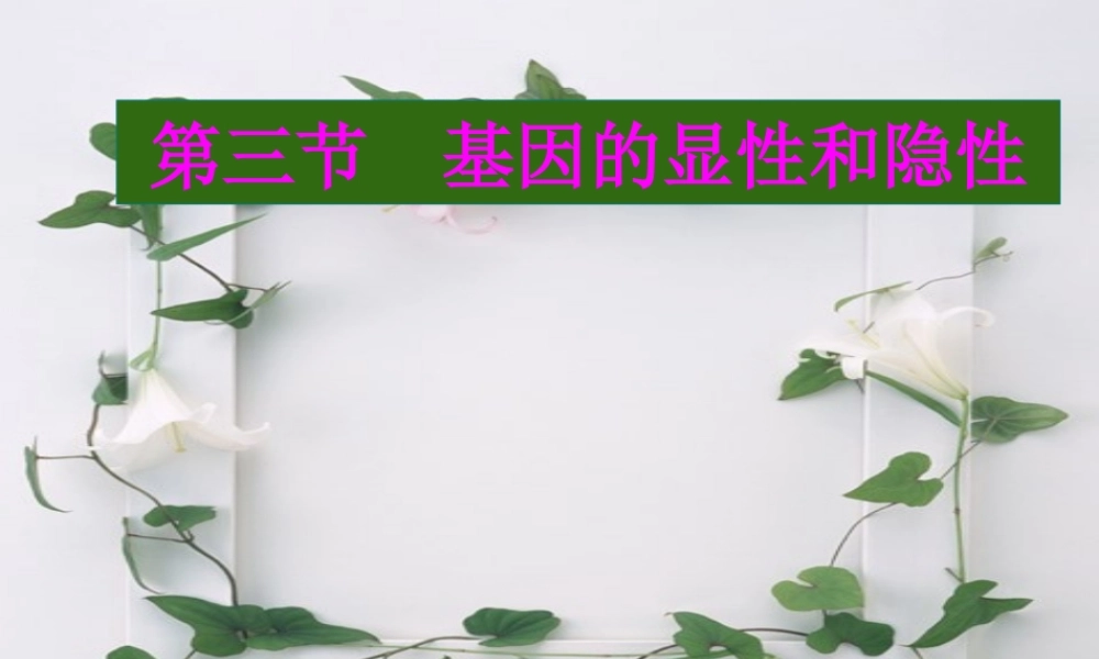 基因的显性和隐性 八年级生物下第二章生物的遗传和变异 第三节 基因的显性和隐性课件人教版 八年级生物下第二章生物的遗传和变异 第三节 基因的显性和隐性课件人教版