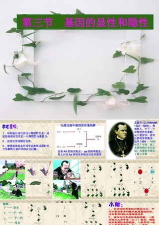 基因的显性和隐性 八年级生物下第二章生物的遗传和变异 第三节 基因的显性和隐性课件人教版 八年级生物下第二章生物的遗传和变异 第三节 基因的显性和隐性课件人教版