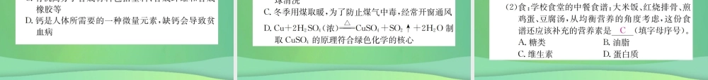 中考化学总复习 教材考点梳理 第十一单元 化学与社会发展课件 鲁教版 课件