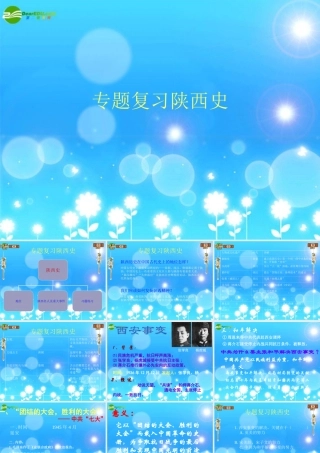 中考历史专题复习 陕西史课件