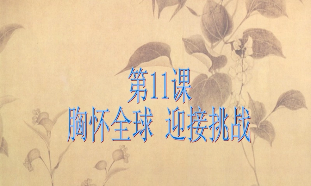 九年级政治：第十一课(胸怀全球 迎接挑战)第一框课件(苏教版) 课件
