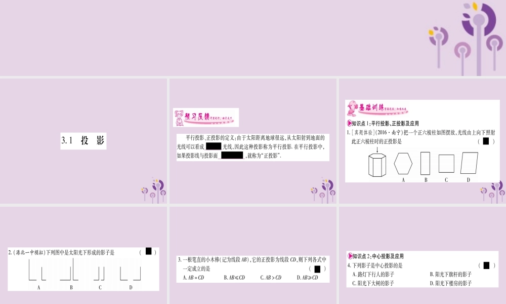 广西九年级数学下册 第3章 投影与视图 3.1 投影作业课件 (新版)湘教版 课件