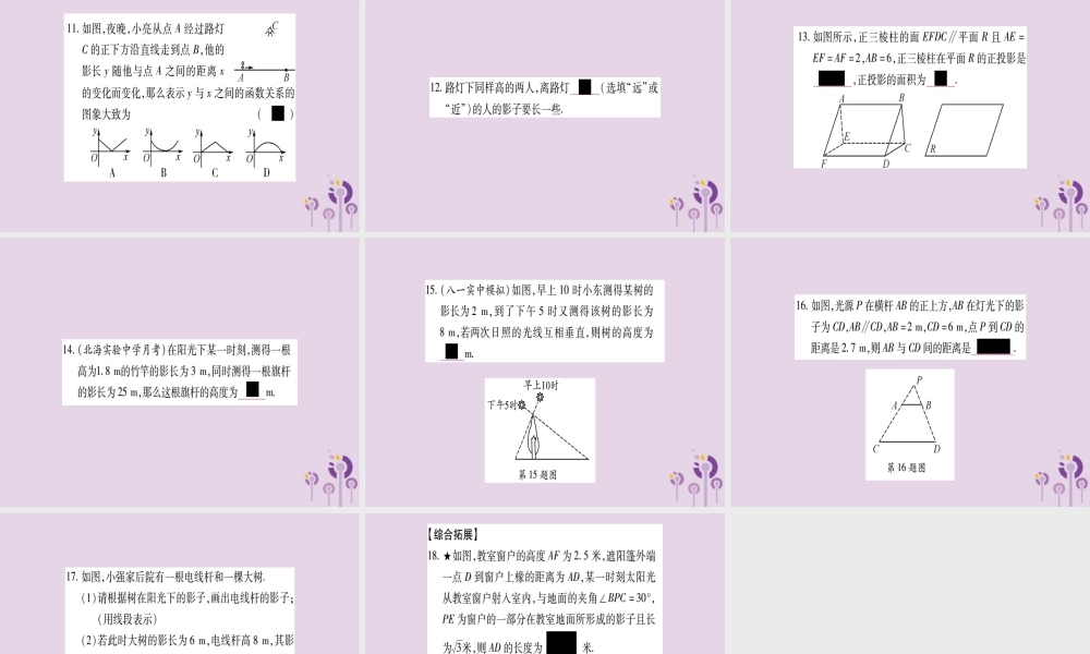 广西九年级数学下册 第3章 投影与视图 3.1 投影作业课件 (新版)湘教版 课件