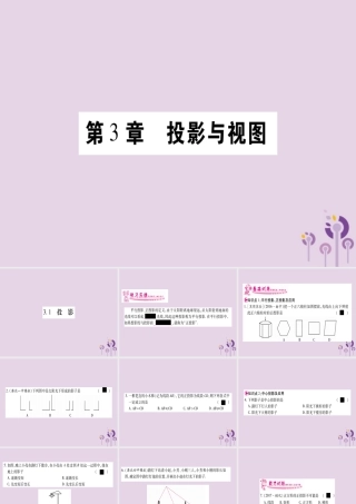 广西九年级数学下册 第3章 投影与视图 3.1 投影作业课件 (新版)湘教版 课件