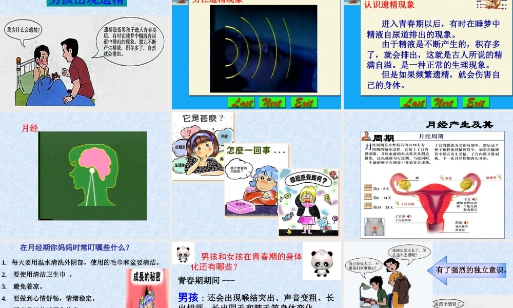 八年级生物上：3.2青春期发育课件济南版 课件