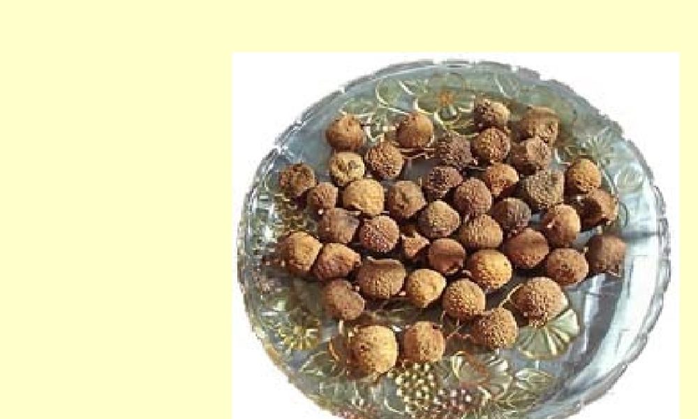 九年级语文下册：第18课南州六月荔枝丹课件语文版 课件