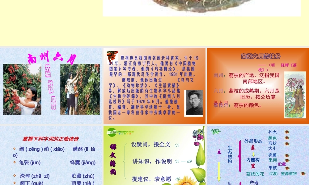 九年级语文下册：第18课南州六月荔枝丹课件语文版 课件