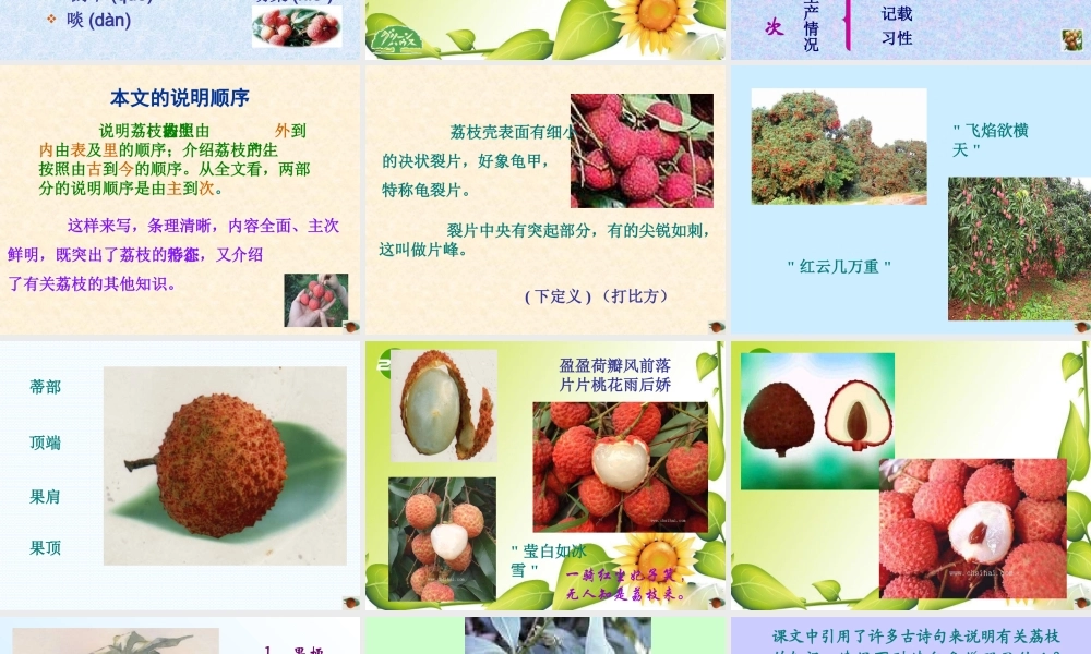 九年级语文下册：第18课南州六月荔枝丹课件语文版 课件