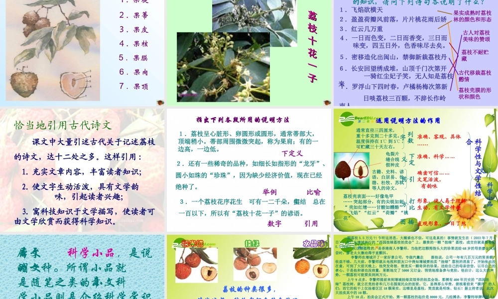 九年级语文下册：第18课南州六月荔枝丹课件语文版 课件