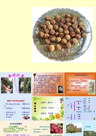 九年级语文下册：第18课南州六月荔枝丹课件语文版 课件