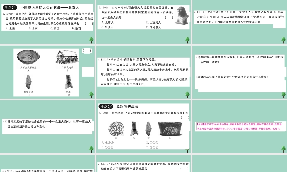 史上册 第一单元复习卷作业课件 新人教版 课件