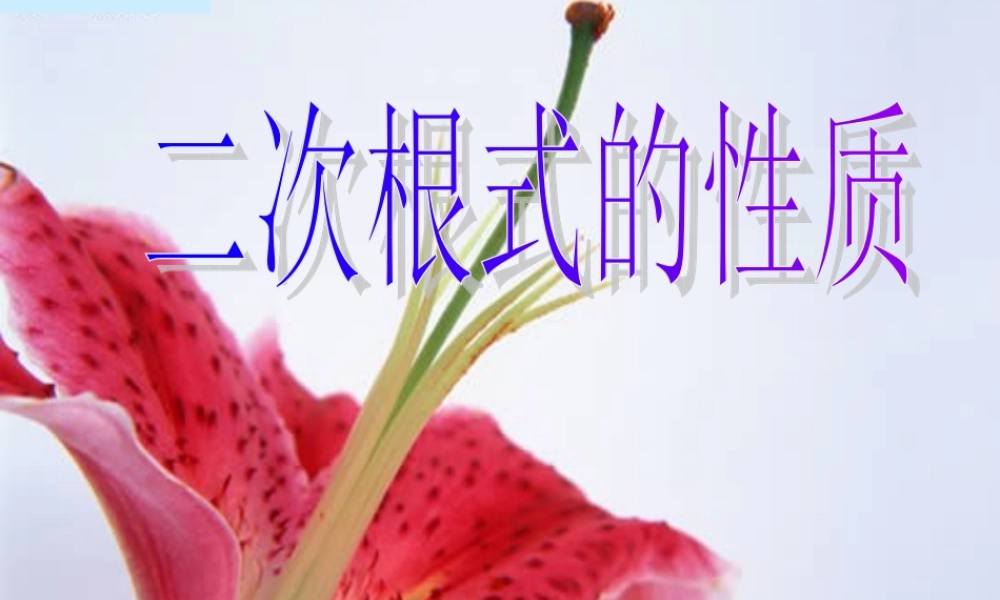 八年级数学二次根式的性质课件 鲁教版 课件