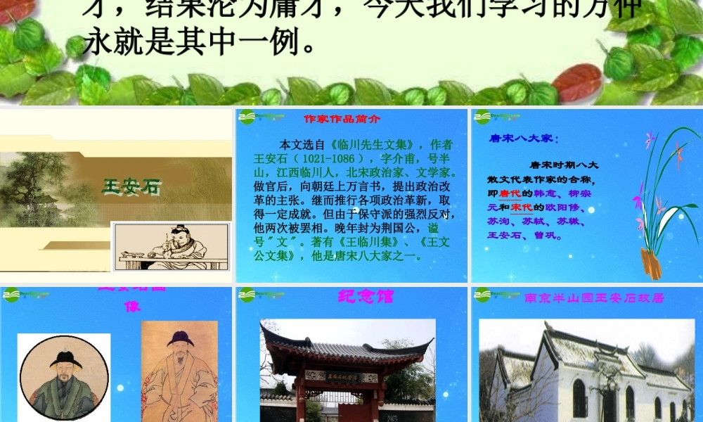 七年级语文下册 (伤仲永)课件 人教新课标版 课件