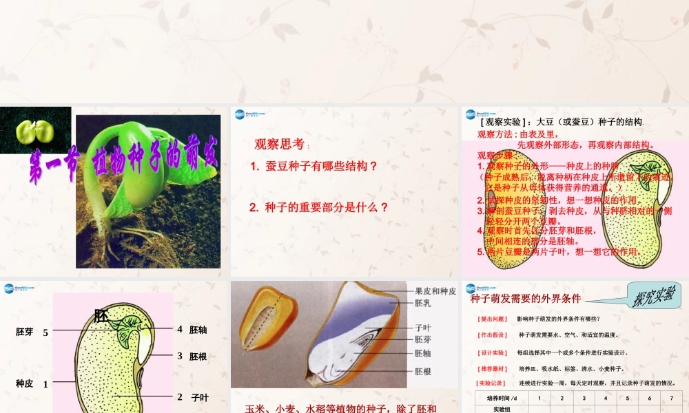 中学七年级生物上册 3.5.1 植物种子的萌发课件 苏教版 课件