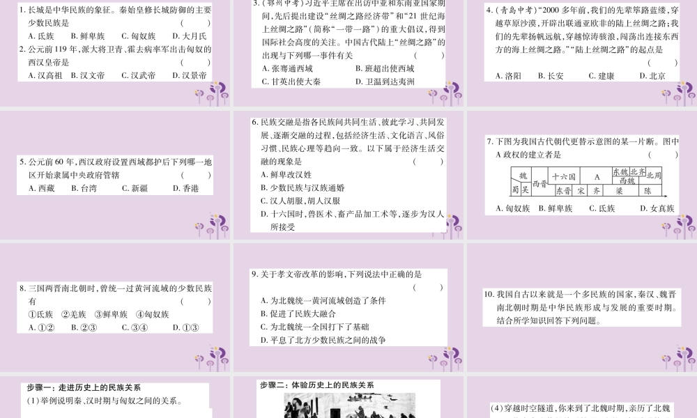 广西七年级历史上册 第4单元 三国两晋南北朝时期 政权分立与民族交融 专题四 古代民族关系与民族交融(隋唐以前)课件 新人教版 课件