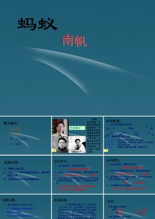 八年级语文上册(蚂蚁)教学课件 北师大版 课件