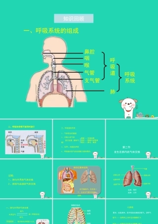 七年级生物下册 4.3.2(发生在肺内的气体交换)演示课件 (新版)新人教版 课件