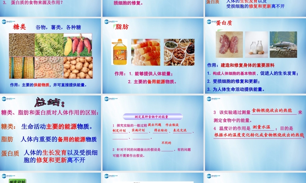 中学七年级生物下册 第二章 第一节 食物中的营养物质课件 (新版)新人教版 课件