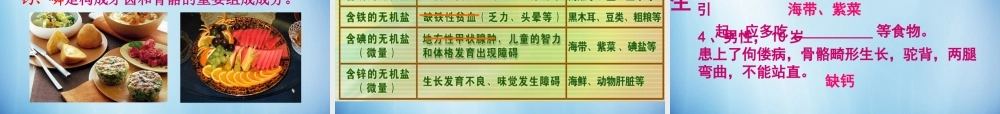 中学七年级生物下册 第二章 第一节 食物中的营养物质课件 (新版)新人教版 课件