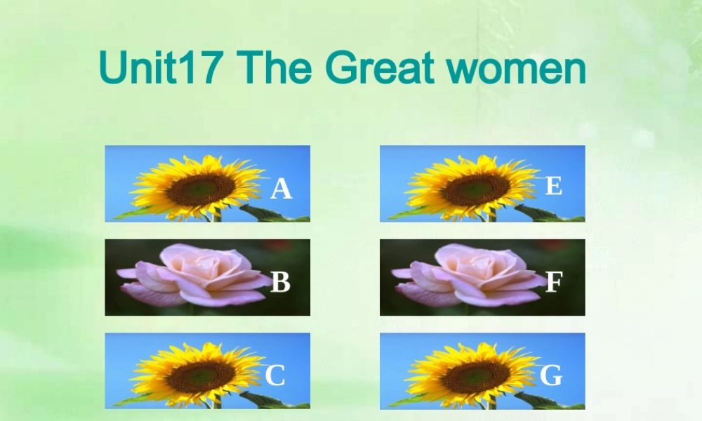新课标 人教版高一英语Unit17 The Great women 课件
