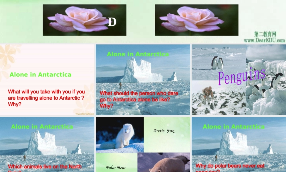 新课标 人教版高一英语Unit17 The Great women 课件