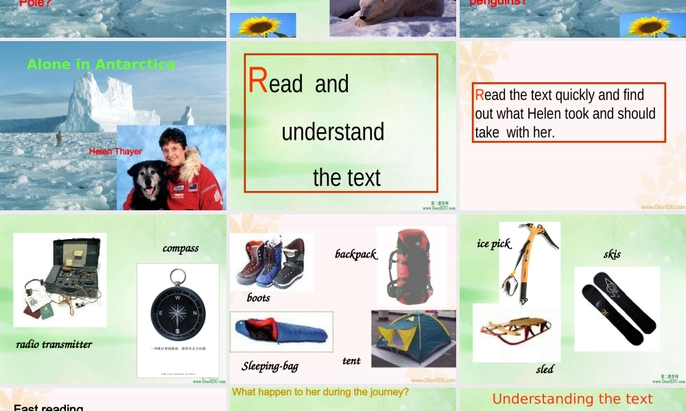 新课标 人教版高一英语Unit17 The Great women 课件