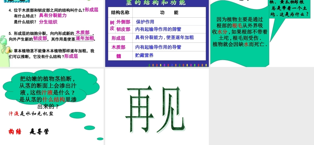 七年级生物水分进入植物体内的途径3课件新人教版 课件