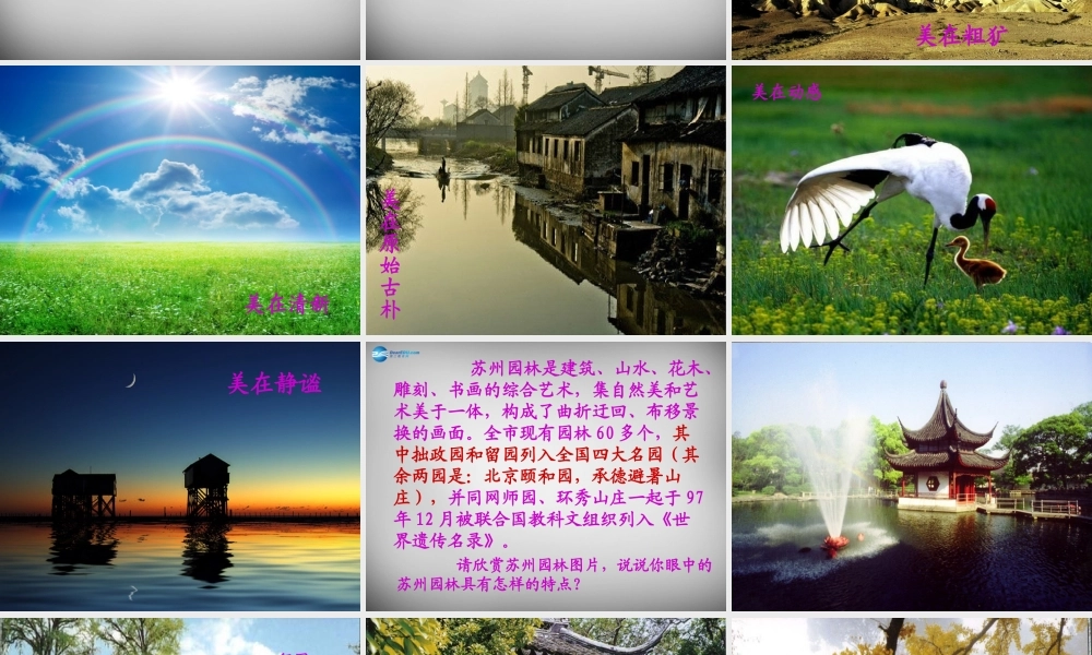 八年级语文上册 13 苏州园林课件 (新版)新人教版 课件