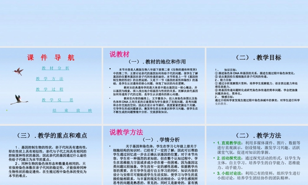 八年级生物下册 第二节基因在亲子代间的传递说课课件 人教新课标版 课件