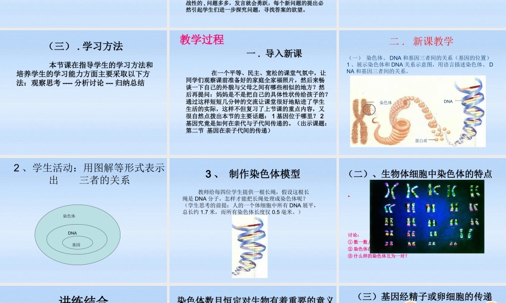 八年级生物下册 第二节基因在亲子代间的传递说课课件 人教新课标版 课件