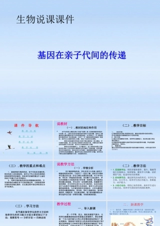 八年级生物下册 第二节基因在亲子代间的传递说课课件 人教新课标版 课件