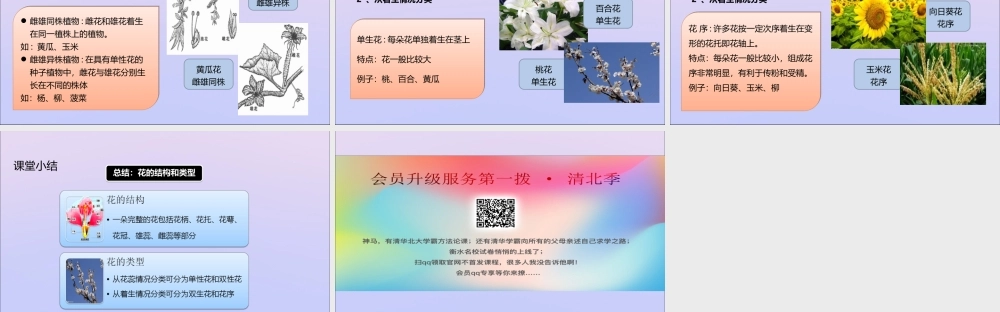 八年级生物上册 第四单元 物种的延续 第一章 绿色开花植物的一生 第一节 花的结构和类型课件(新版)济南版 课件