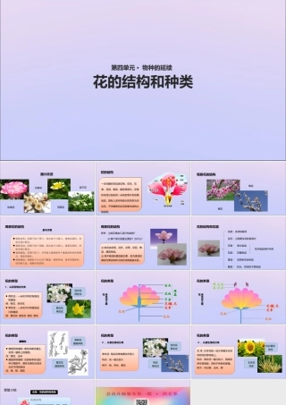 八年级生物上册 第四单元 物种的延续 第一章 绿色开花植物的一生 第一节 花的结构和类型课件(新版)济南版 课件