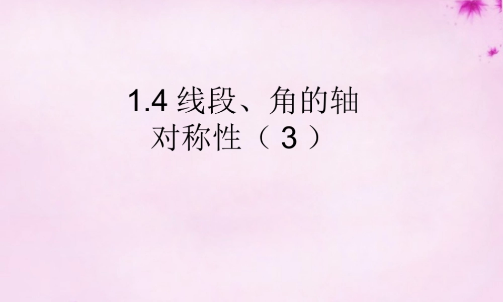 八年级数学上册 1.4 线段、角的轴对称性(第3课时)课件 苏科版 课件