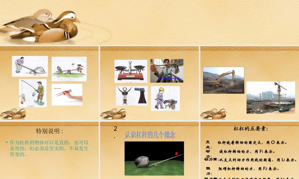 八年级物理下册 杠杆教学课件 教科版 课件