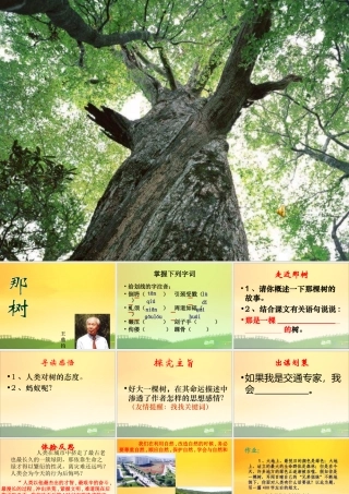 九年级语文上册 (那树)教学课件 人教新课标版 课件