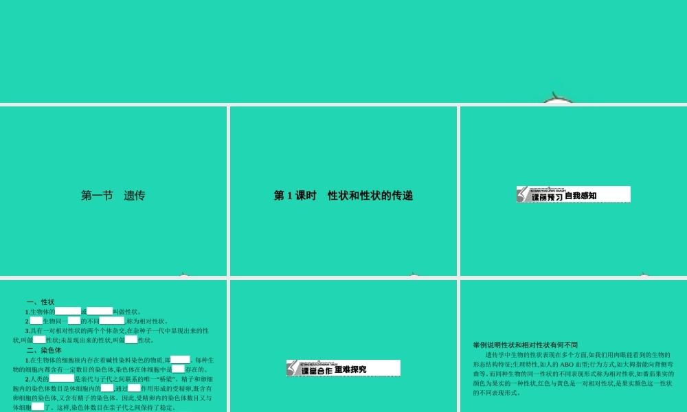 八年级生物下册 6.2.1 遗传(第1课时)课件 (新版)冀教版 课件